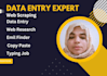 provide precise data entry, web scraping, excel, and web research