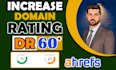 increase DR domain rating to 60 plus guaranteed