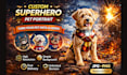 custom pet portrait with amazing superhero style