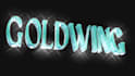 animated 3d metallic logo and text