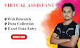 do web research, data collection, copy paste and data entry