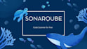 help you to install your sonarqube server hosting for code quality assurance
