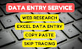 do excel data entry, web research, copy paste