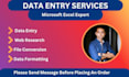 do professional excel data entry, formatting and web scraping