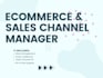 be your ecommerce and sales channel manager