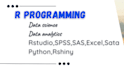 do statistical data analysis, r coding, spss, stata, excel, python programming