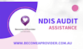 ndis midterm audit assistance
