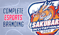 design a custom sports logo and brand identity