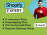 design and develop a professional shopify ecommerce store or website