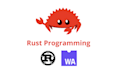 do professional rust programming service