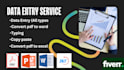 do data entry and copy paste job