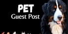 write and publish pet guest post, pet backlinks dog, cat guest posts