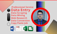 do web research data entry word  excel copy paste etc