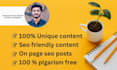 be your SEO website content writer, blog post, or copywriter