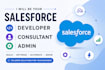 be your salesforce developer, consultant, and admin