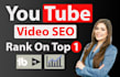 do best youtube video SEO expert and channel manager