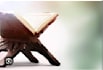 teach online quran teaching