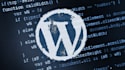 build wordpress website and provide customization work