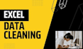 clean, format, and organize your excel or CSV data professionally