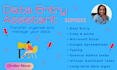 assist with data entry, excel, and google spreadsheet tasks