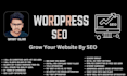 monthly on page and technical SEO and fix wordpress, elementor, divi error