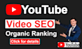 youtube video SEO expert 1