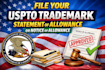file trademark statement of allowance or notice of allowance