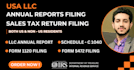 file annual report for USA llc and tax return