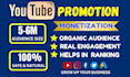 do organic youtube promotion and help in monetization