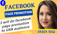 do facebook page promotion to USA audience