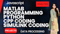 do javascript ,matlab coding ,cpp ,simulink ,programming ,python