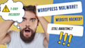 remove wordpress malware and fix the wordpress critical error