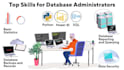 help you data entry, data analysis using excel and sql server
