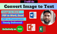 do convert scanned image to word or text
