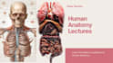 teach human anatomy to medical students