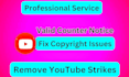 remove copyright violations,copyright strikes and send counter notice