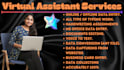 virtual assistant, data entry, data and file conversion