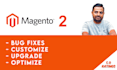upgrade, fix and customize your magento 2 site