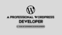 build responsive wordpress website design and website development