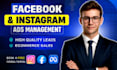 be your facebook ads campaign manager for sales and quality leads