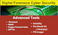 do digital and computer forensics analsys with report and cyber investigation