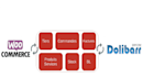 develop dolibarr module synchronize woocommerce and dolibarr