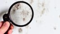 do mold removal or mold remediation promo video ads