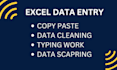 do perfect excel data entry