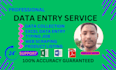 professional data entry service for you