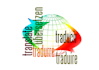 translate arabic, english, french