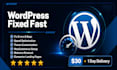 fix, customize or speed up your wordpress website fast