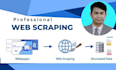 do web scraping, website data entry, excel, and web research