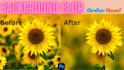 blur your background in complex images