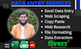 do data entry in low price for you